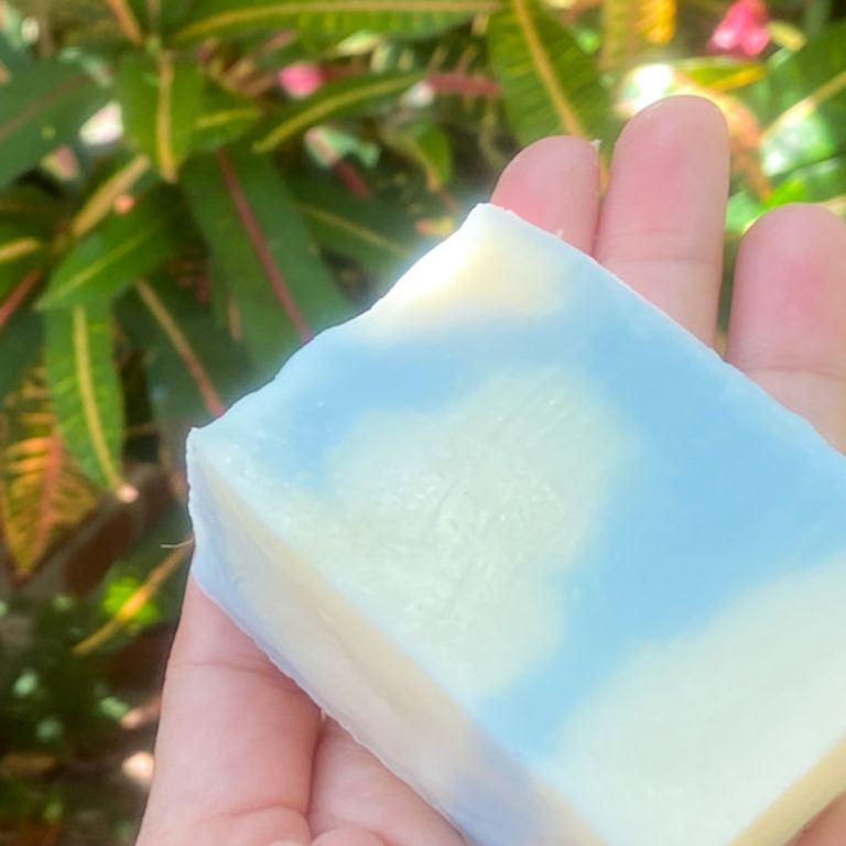 Oily Cold Process Soap (Layer of Oil on Surface)